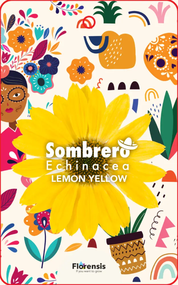 Echinácea - Lakota®  Yellow kont.0,5l (12 cm)
